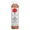 Caleb Treeze Organic Farm Stops Acid Reflux 8 oz (237 ml) 3 Caleb Treeze Organic Farm Old Amish Digestion Tonic 8 fl oz (237 ml) 899378002019