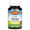 Carlson Chewable Iron Strawberry 30 mg 60 Tablets 2 Carlson Chewable Iron Strawberry 30 mg 60 Tablets 088395559105