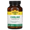 Country Life Choline 100 viên 3 Country Life Choline 100 Tablets 015794065104