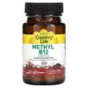 Country Life Methyl B12 Cherry 5,000 mcg 60 Lozenges 3 Country Life Methyl B12 Cherry 5.000 mcg 60 Lozenges 015794063049
