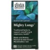Gaia Herbs Mighty Lungs 60 Vegan Liquid Phyto-Caps 2 Gaia Herbs Mighty Lungs 60 Vegan Liquid Phyto-Caps 751063151641