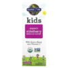 Garden of Life Kids Organic Elderberry Immune Syrup with Aronia Berry and Vitamin C 3.9 fl oz (116 ml) 658010125246
