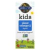 Garden of Life Kids Plant Omega-3 Liquid Strawberry 2 fl oz (57.5 ml) 2 Garden of Life Kids Plant Omega-3 Liquid Strawberry 2 fl oz (57.5 ml) 658010125277