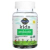 Garden of Life Kids Probiotic Cherry 3 Billion CFU 30 Vegetarian Gummies 3 Garden of Life Kids Probiotic Cherry 3 Billion CFU 30 Vegetarian Gummies 658010125154