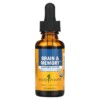 Herb Pharm Brain & Memory Nervous System 1 fl oz (30 ml) 090900000194