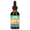 Herbs for Kids Herbs for Kids Echinacea/Astragalus 2 fl oz (59 ml) 2 Herbs for Kids Herbs for Kids Echinacea/Astragalus 2 fl oz (59 ml) 701619100357