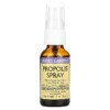 Honey Gardens Propolis Spray 1 fl oz (30 ml) 022318000077