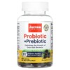 Jarrow Formulas Probiotic + Prebiotic Blackberry 2 Billion 50 Gummies 2 Jarrow Formulas Probiotic + Prebiotic Blackberry 2 Billion 50 Gummies 790011037163