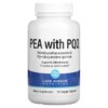 Lake Avenue Nutrition PEA 300 mg + PQQ 10 mg 90 Veggie Capsules 2 Lake Avenue Nutrition PEA 300 mg + PQQ 10 mg 90 Veggie Capsules 898220015924