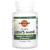 Mushroom Wisdom Super Lion's Mane 120 Vegetarian Tablets 791014109031