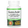 Natural Factors Gastro-Assist with Mastic Gum Saccharomyces Boulardii & Zinc L-Carnosine 60 Vegetarian Capsules 068958017563