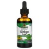 Nature's Answer Ginkgo Leaf Fluid Extract Alcohol-Free 1.000 mg 2 fl oz (60 ml) 2 Nature's Answer Ginkgo Leaf Fluid Extract Alcohol-Free 1.000 mg 2 fl oz (60 ml) 083000006210