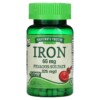 Nature's Truth Iron 65 mg 120 Coated Tablets 840093101341