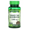 Nature's Truth Turkey Tail Mushroom 600 mg 120 Quick Release Capsules 2 Nature's Truth Turkey Tail Mushroom 600 mg 120 Quick Release Capsules 840093120212