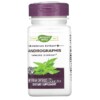 Nature's Way Andrographis 300 mg 60 Vegan Capsules 3 Nature's Way Andrographis 300 mg 60 Vegan Capsules 033674153819