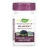Nature's Way Bilberry 60 Vegan Capsules 3 Nature's Way Bilberry 60 Vegan Capsules 033674605004