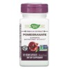 Nature's Way Premium Extract Pomegranate 350 mg 60 viên 3 Nature's Way Premium Extract Pomegranate 350 mg 60 Vegan Capsules 033674153857