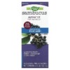 Nature's Way Sambucus Alpha CF Multi-Symptom Flucare With Elderberry 4 fl oz (120 ml) 3 Nature's Way Sambucus Alpha CF Multi-Symptom Flucare With Elderberry 4 fl oz (120 ml) 033674158036