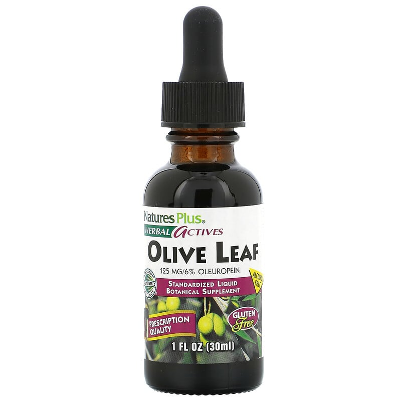 NaturesPlus Herbal Actives Olive Leaf Alcohol Free 1 fl oz (30 ml) 1 NaturesPlus Herbal Actives Olive Leaf Alcohol Free 1 fl oz (30 ml) 097467078499