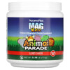 NaturesPlus Mag Kidz Animal Parade Children's Magnesium Powder Supplement Cherry 0.38 lb (171 g) 3 NaturesPlus Mag Kidz Animal Parade Children's Magnesium Powder Supplement Cherry 0.38 lb (171 g) 097467299436