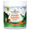 Nordic Naturals Nordic Berries Multivitamin Gummies Ages 3+ Original 120 Gummy Berries 2 Nordic Naturals Nordic Berries Multivitamin Gummies Ages 3+ Original 120 Gummy Berries 768990301209