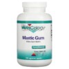 Nutricology Mastic Gum 240 Vegetarian Capsules 3 Nutricology Mastic Gum 240 Vegetarian Capsules 713947573703