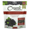 Organic Traditions Black Mulberries 8 oz (227 g) 3 Organic Traditions Black Mulberries 8 oz (227 g) 627733003643