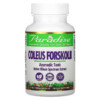 Paradise Herbs Coleus Forskolii 60 viên 3 Paradise Herbs Coleus Forskolii 60 Vegetarian Capsules 601944777289