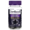 Sambucol Black Elderberry Advanced Immune Support with Vitamin C & Zinc 30 Gummies 2 Sambucol Black Elderberry Advanced Immune Support with Vitamin C & Zinc 30 Gummies 896116001228