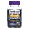 Sambucol Black Elderberry Immune Support Gummies with Vitamin C & Zinc Natural Berry 60 Gummies 2 Sambucol Black Elderberry Immune Support Gummies with Vitamin C & Zinc Natural Berry 60 Gummies 896116001310
