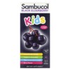 Sambucol Black Elderberry Syrup For Kids Berry Flavor 7.8 fl oz (230 ml) 2 Sambucol Black Elderberry Syrup For Kids Berry Flavor 7.8 fl oz (230 ml) 896116001211