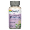 Solaray Boswellia 450 mg 60 VegCaps 2 Solaray Boswellia 450 mg 60 VegCaps 076280399059