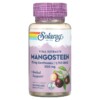 Solaray Mangosteen Fruit Extract 500 mg 60 VegCaps 2 Solaray Mangosteen Vital Extracts 500 mg 60 VegCaps 076280138979