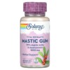 Solaray Mastic Gum 500 mg 45 VegCaps 2 Solaray Mastic Gum 500 mg 45 VegCaps 076280036886