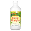 Sunny Green Liquid Chlorophyll Peppermint 100 mg 16.2 oz (480 ml) 2 Sunny Green Liquid Chlorophyll Peppermint 100 mg 16.2 fl oz (480 ml) 632651560000
