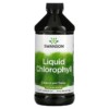 Swanson Liquid Chlorophyll 100 mg 16 fl oz (473 ml) 3 Swanson Liquid Chlorophyll 100 mg 16 fl oz (473 ml) 087614060316
