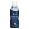Trace Minerals Research Ionic Plant Minerals Natural Tangerine Flavor 17 oz (503 ml) 3 Trace Minerals ® Ionic Plant Minerals Tangerine 17 fl oz (503 ml) 878941003424