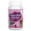Yum-Vs Immune Shield with Sambucus Berry 60 Gummies 3 Yum-Vs Immune Shield with Sambucus Berry 60 Gummies 899105001230