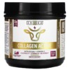 Zhou Nutrition Collagen Active Black Berry and Cherry 13.3 oz (378 g) 3 Zhou Nutrition Collagen Active Black Berry and Cherry 13.3 oz (378 g) 669191525633
